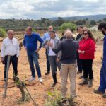 Balance de los daños en la agricultura causados por la tormenta y el granizo
